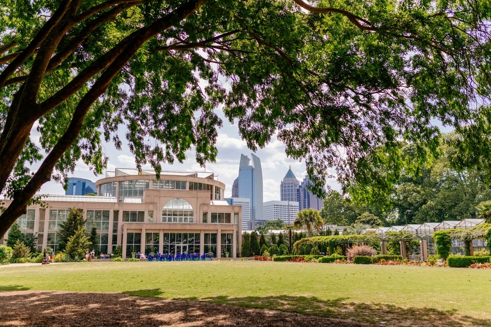 Cityscape,With,Trees,And,Grass,In,The,Foreground,,A,Building